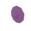 Lion Shield